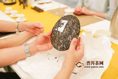 佳兆業興海茶2020年經銷商大會暨年度新品發布會 鵬城啟航，共創茶葉代理與銷售新篇章