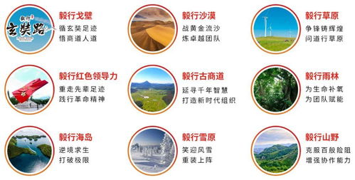 追夢路上，期待與你相遇 毅行力量2022產品手冊與茶葉代理銷售全解析