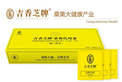桑黃茶全國區域代理商招募 誠邀合作伙伴，共享健康茶飲藍海市場